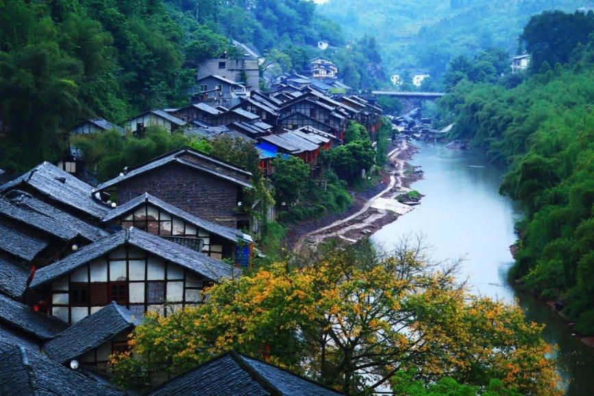 逛龙展，迎龙年！来这里看嘉定本土“龙”